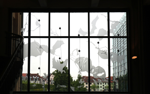 Bats ́n ́Insects, Schallwandler auf Sandstrahlscheibe 