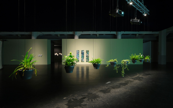 On display is the work "Eau de Jardin". The picture shows a total view of the work. The plants hang in pots arranged in a row from the ceiling and hang in front of a large canvas.