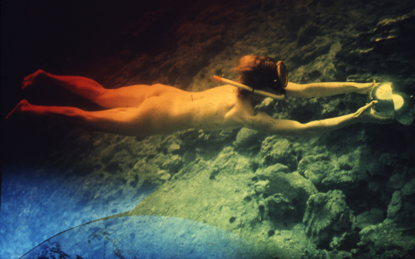 Celebration of the Ocean