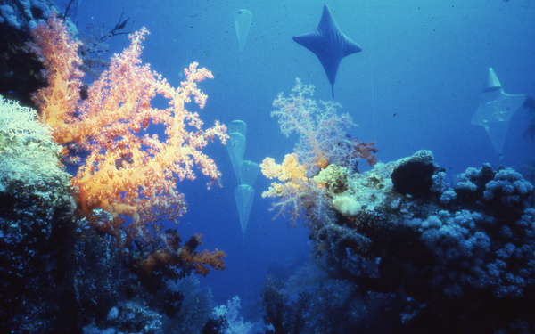Die Gärten von Sharm