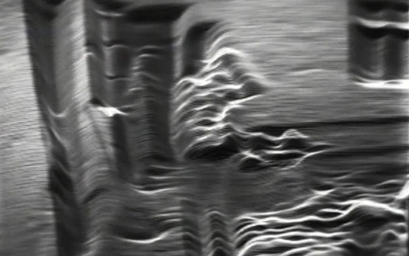 Steina Vasulka, Woody Vasulka, »Evolution«, 1969