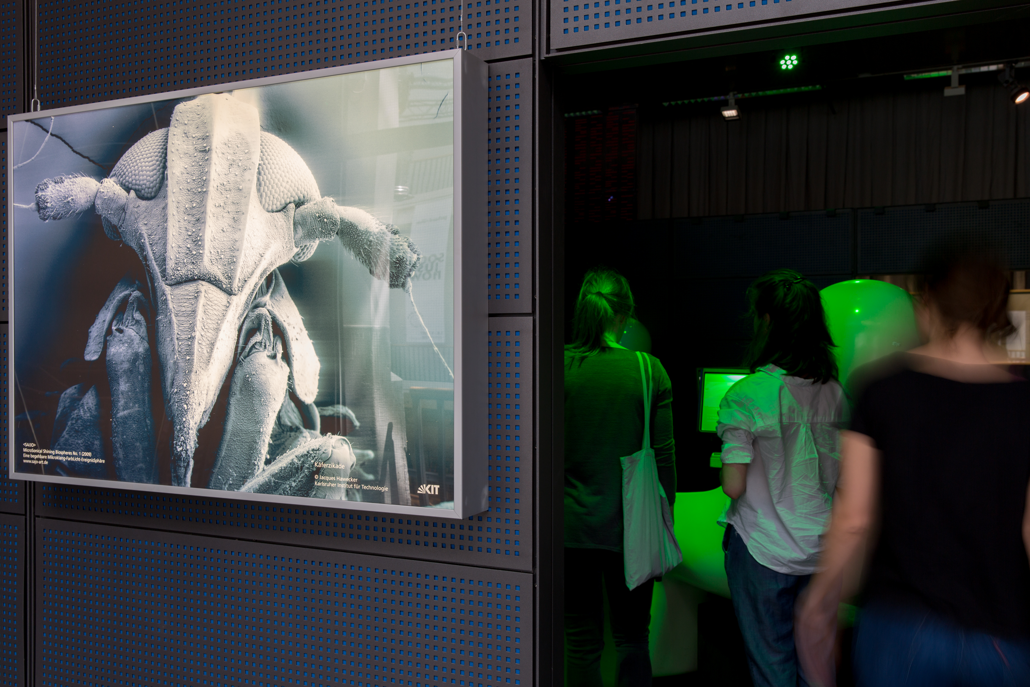 View of the exhibition »Joachim Krebs: Deleuze and the Sampler as an Audio-Microscope«