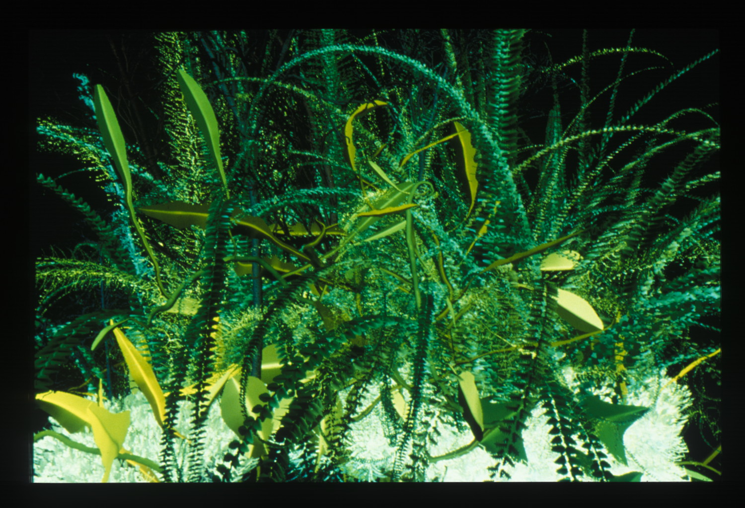Interactive Plant Growing 