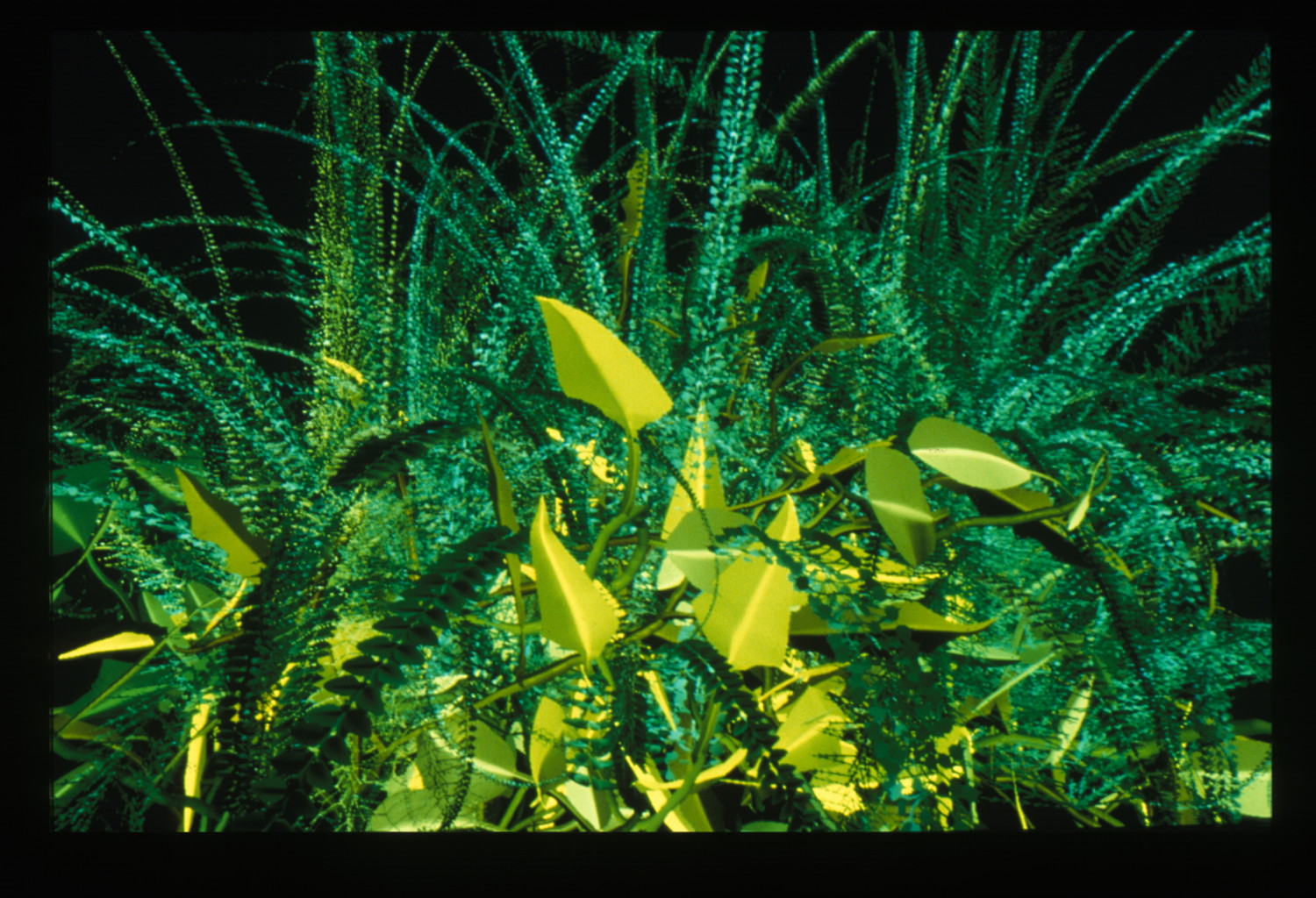 Interactive Plant Growing 