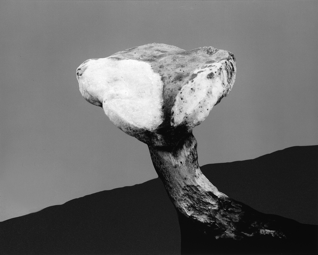 Mushroom