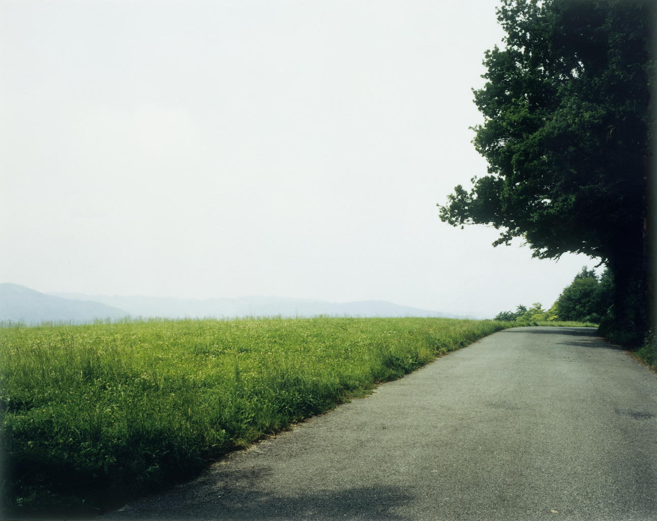 Landschaft Nr. 3, Waldstraße auf dem Lindberg, Winterthur