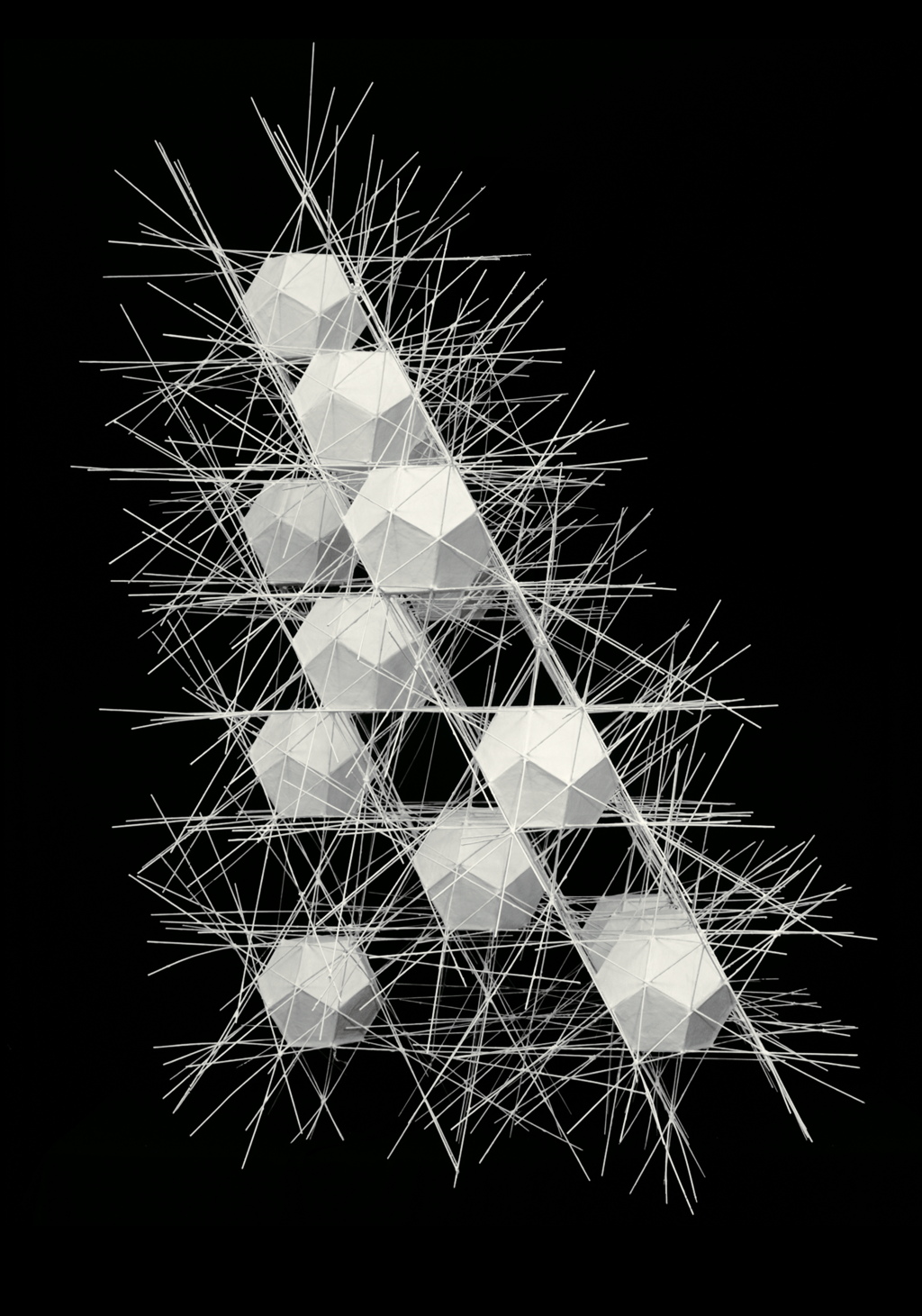 Polyhedral Net Structure #2