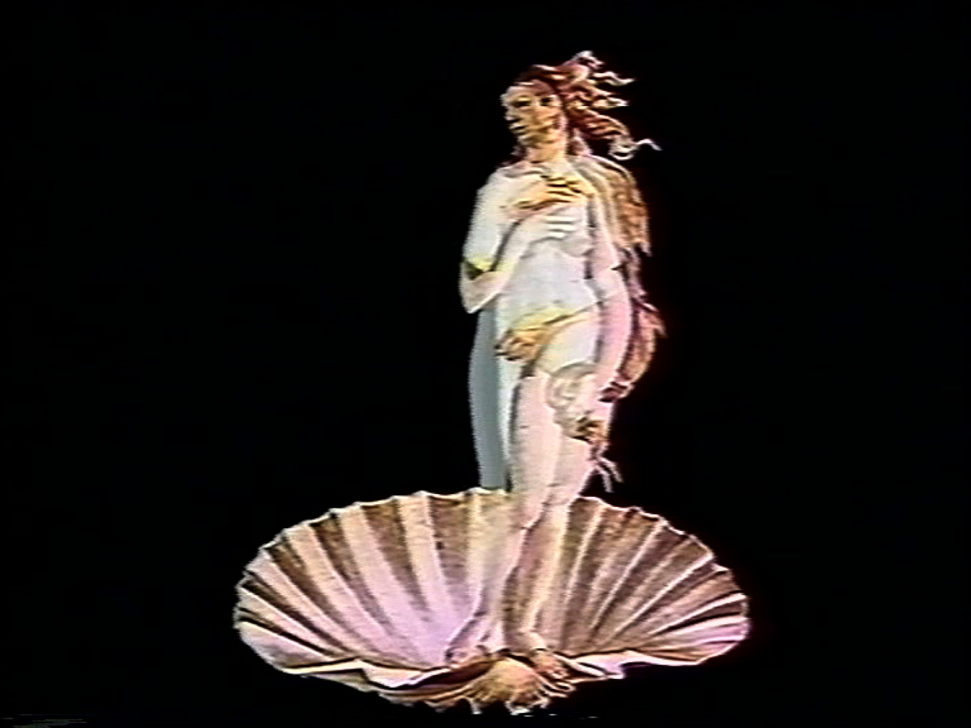 Madonnas of the Flowers