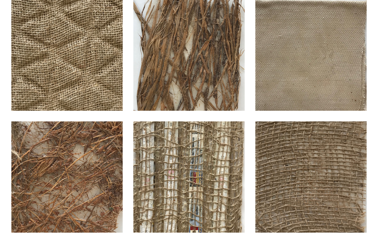 Biocomposite Matrix