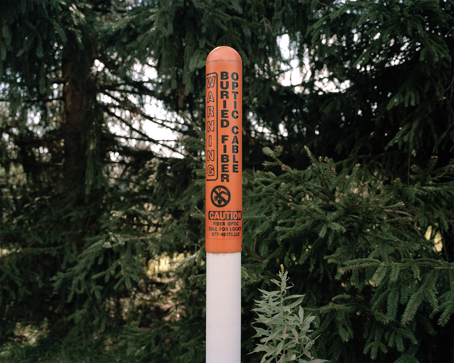 Ein rot-weißer Poller