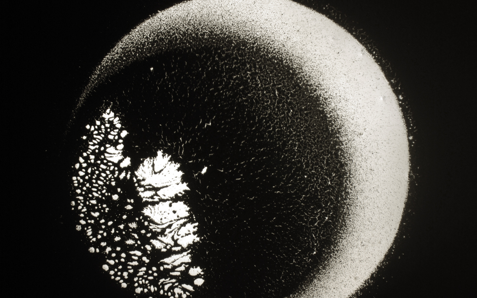 Aldo Tambellini, »Study of Internal Shapes and Outward Manifestations« - Neutro 