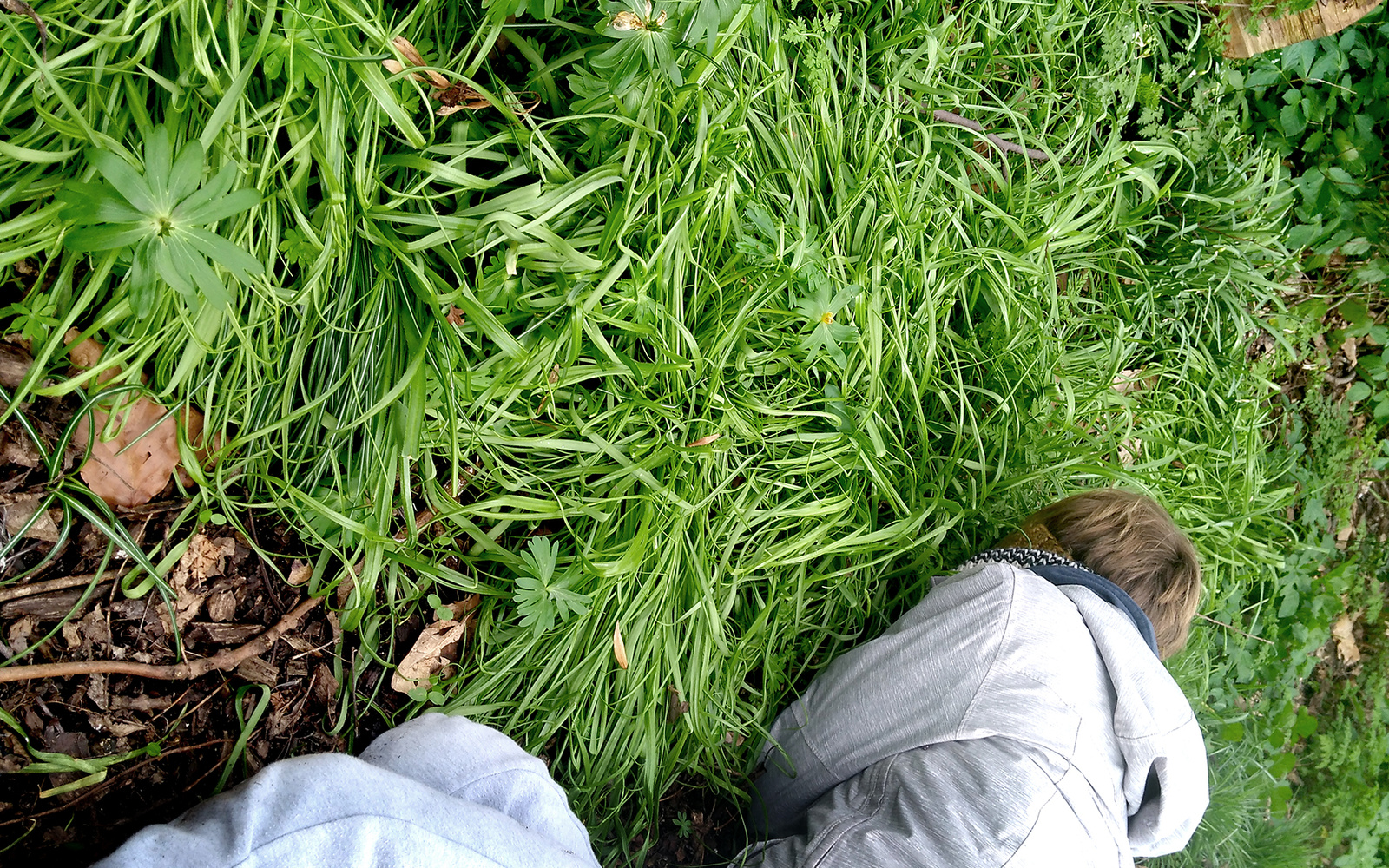 Auf einer grünen Wiese kniet sich eine Person mit ihrem Gesicht auf dem Boden hin.