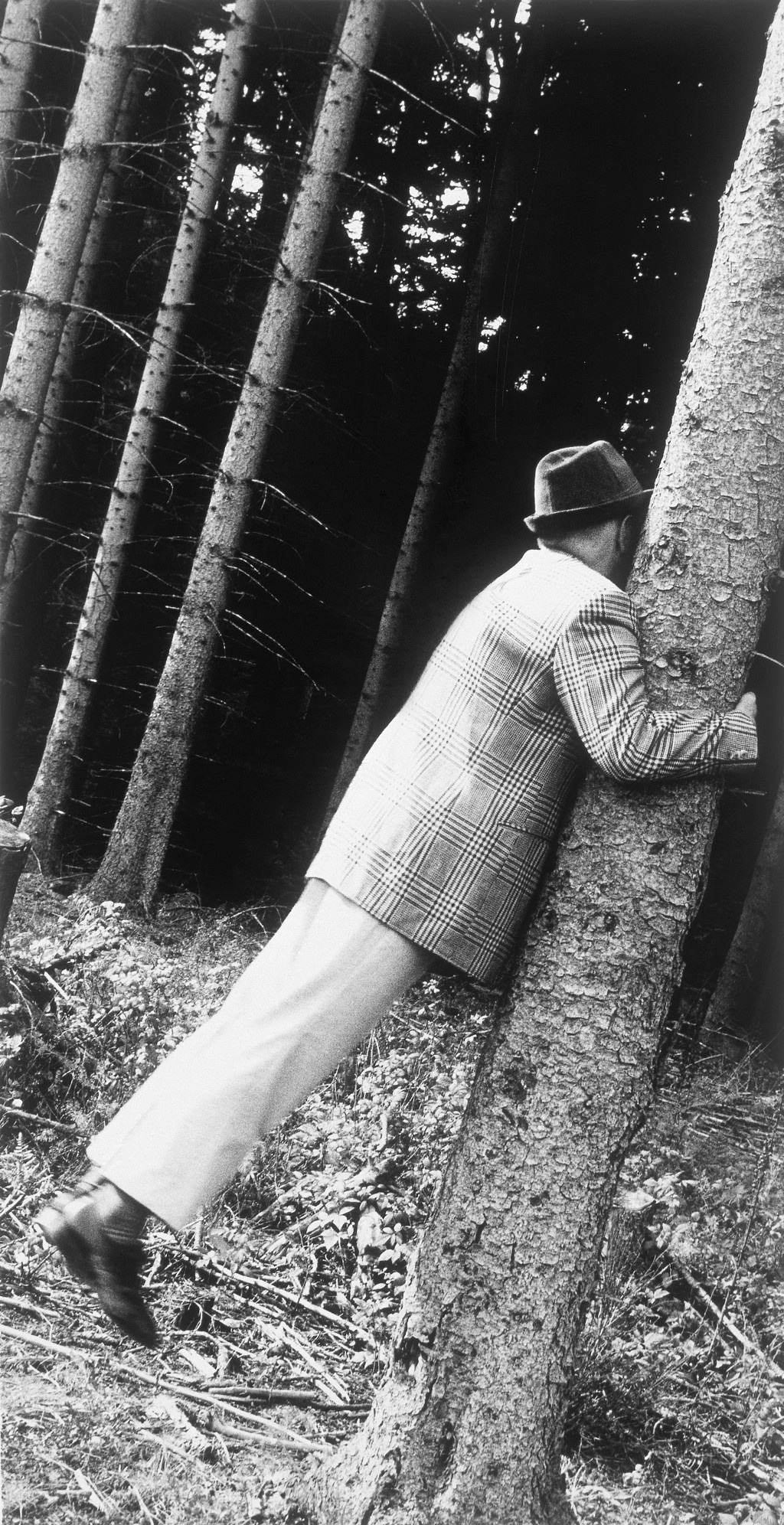 Im Wald
