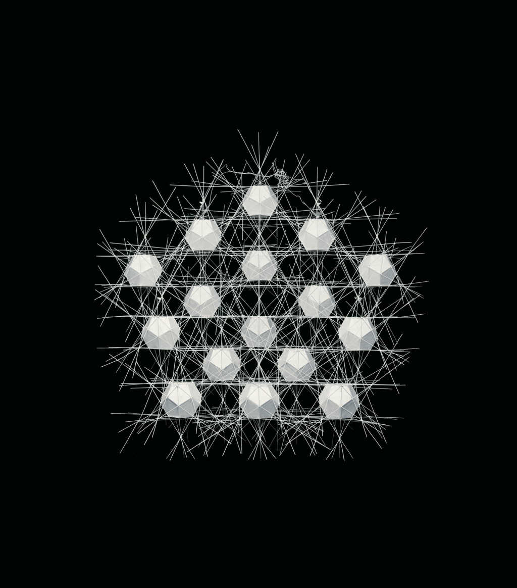Polyhedral Net Structure #2
