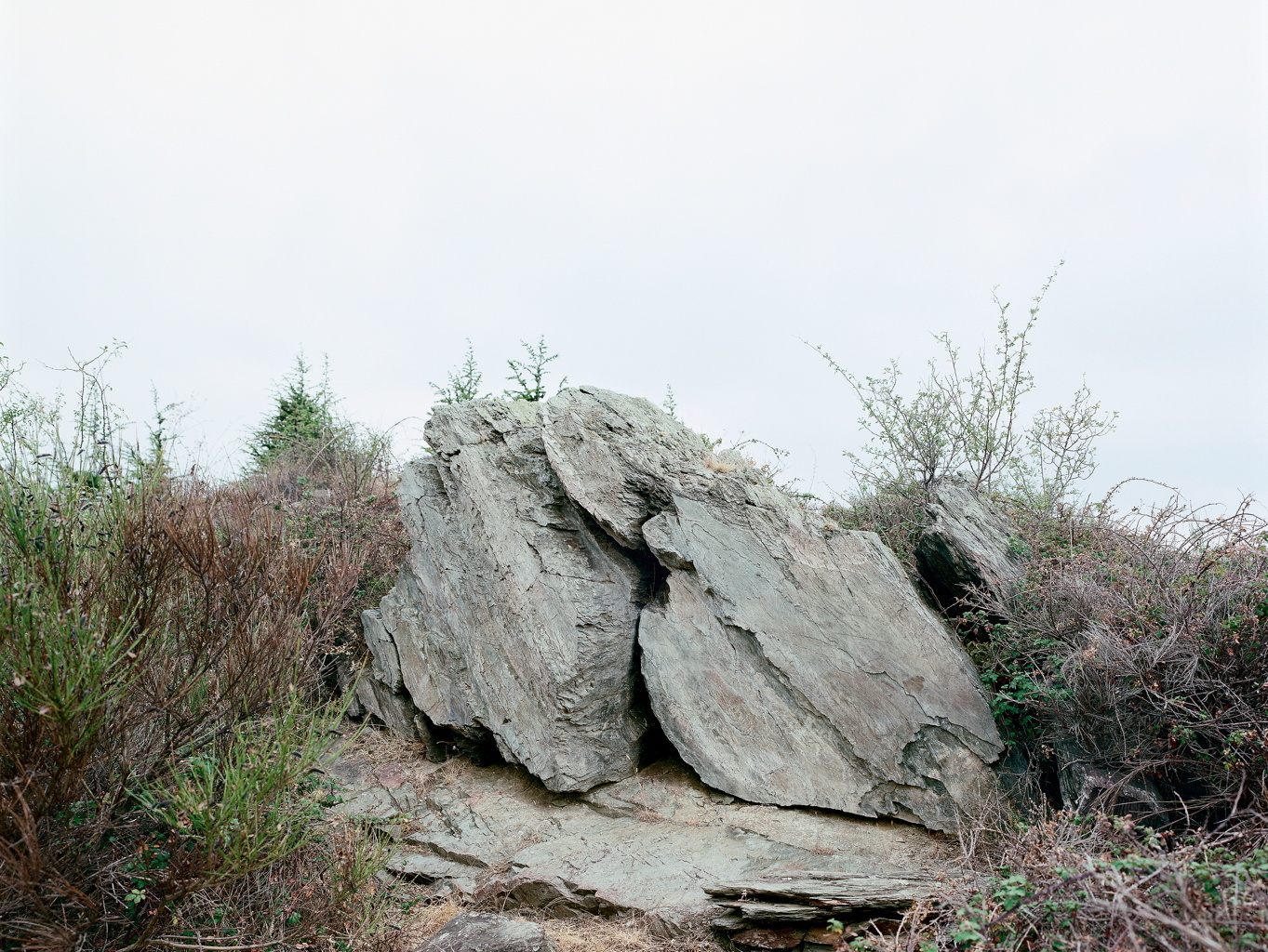 Der Felsen von Fornols II