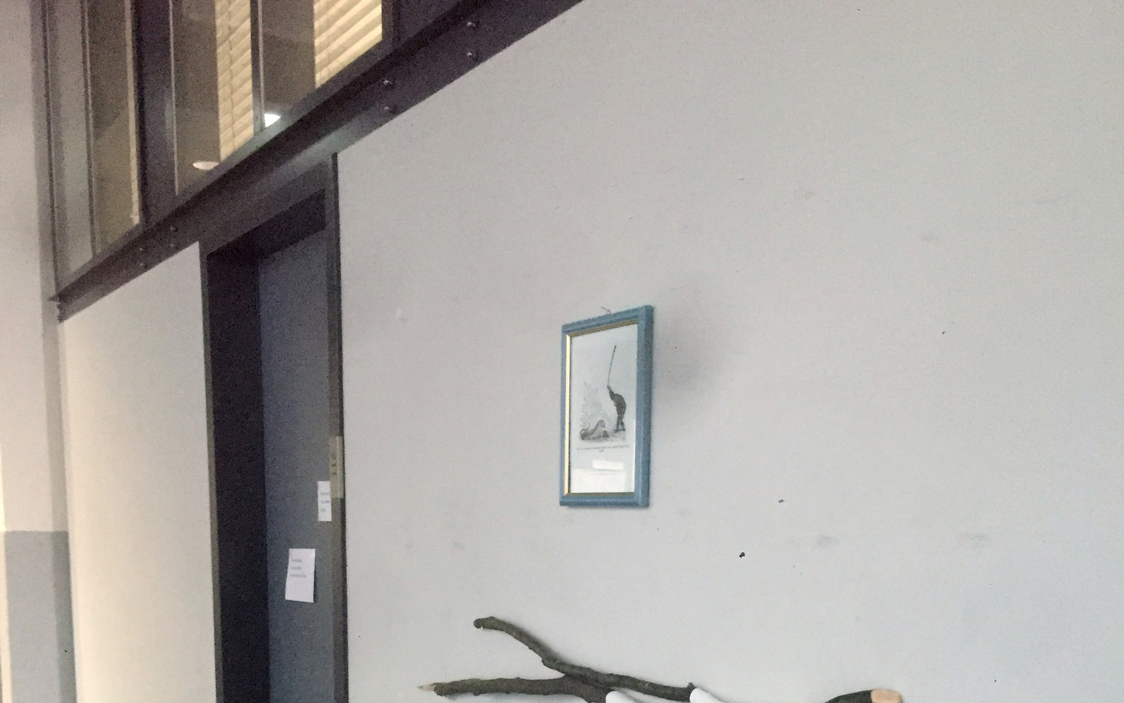 Die Schlagstöcke hängen an der Wand, unter einer alten sowjetischen Illustration "Savannenschimpanse schlägt wütend ein Stofftier mit einem Stock".