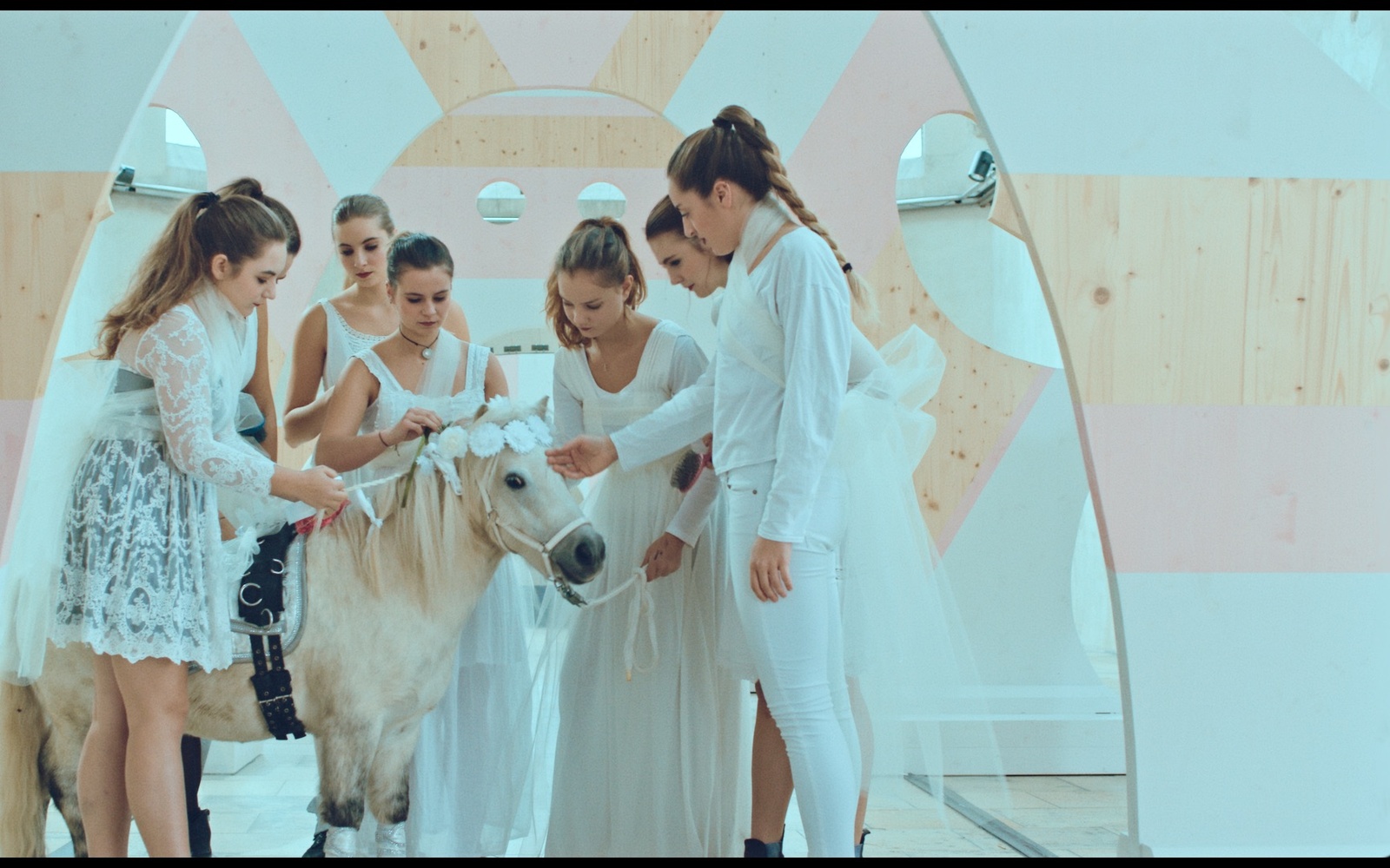 The photo shows a white pony surrounded by seven girls in white clothes.
