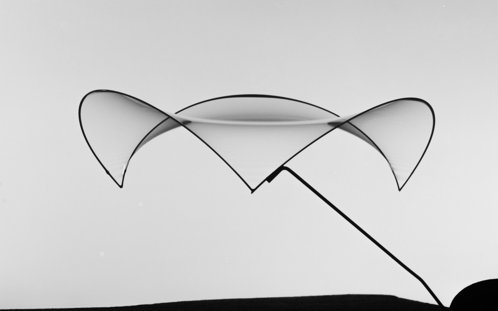  Frei Otto photography: Minimal area from a soapy skin