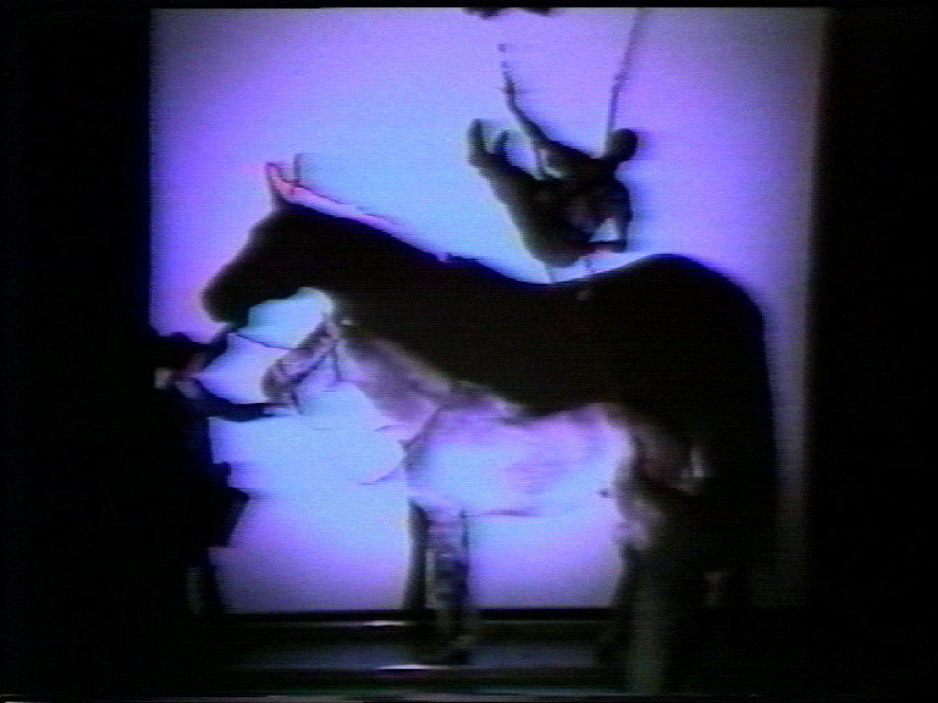 Aló (The Horse)