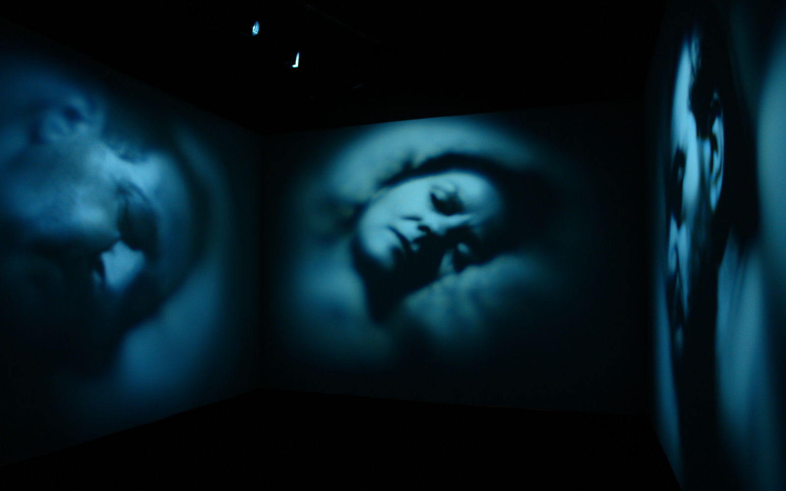 Detail of the exhibition "Pèlerinages Kunstfest Weimar"