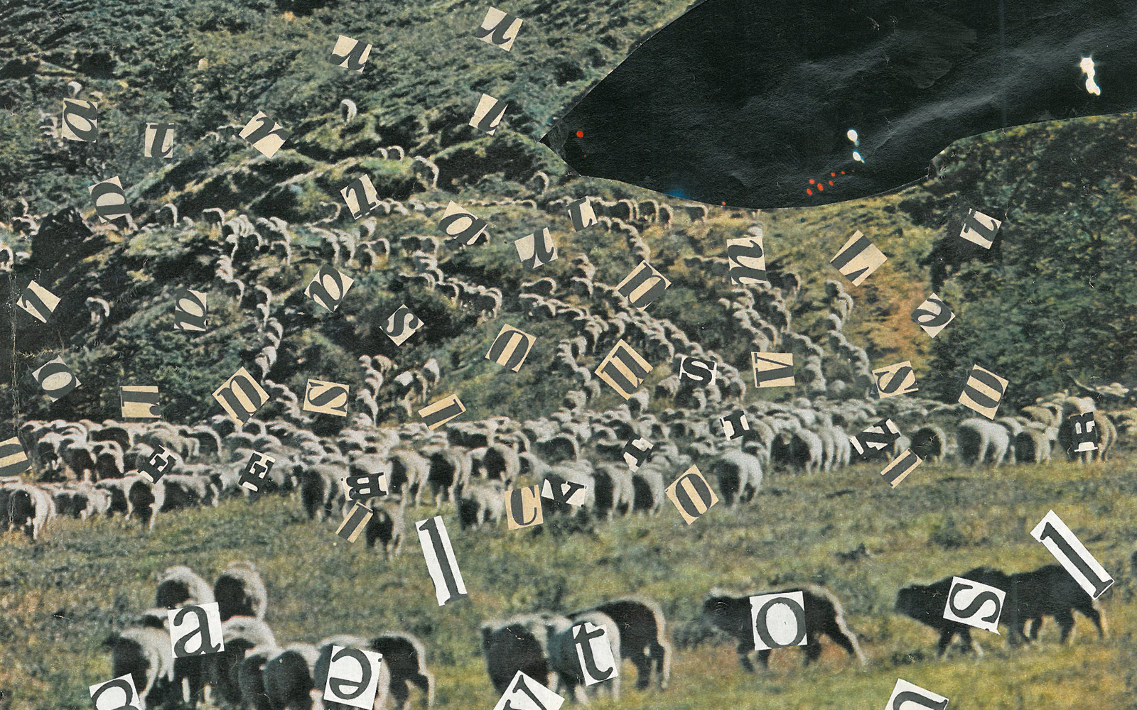 Eine Collage zeigt eine Schafherde an einem grünen Bergabhang unter einem roten Himmel. Überall bei den Schafen sind ausgeschnittene Buchstaben aus Zeitungen aufgeklebt. 