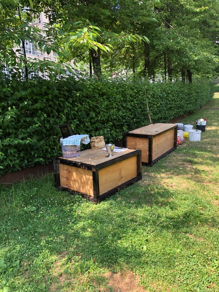 Holzkisten und Gartenutensilien auf einer Wiese