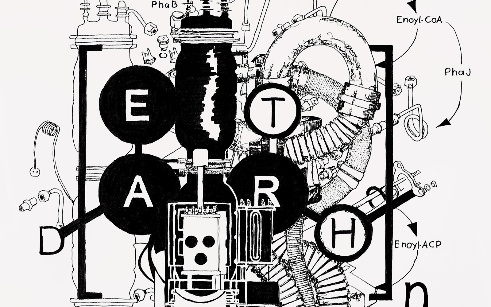 Thomas Feuerstein: Metabolica