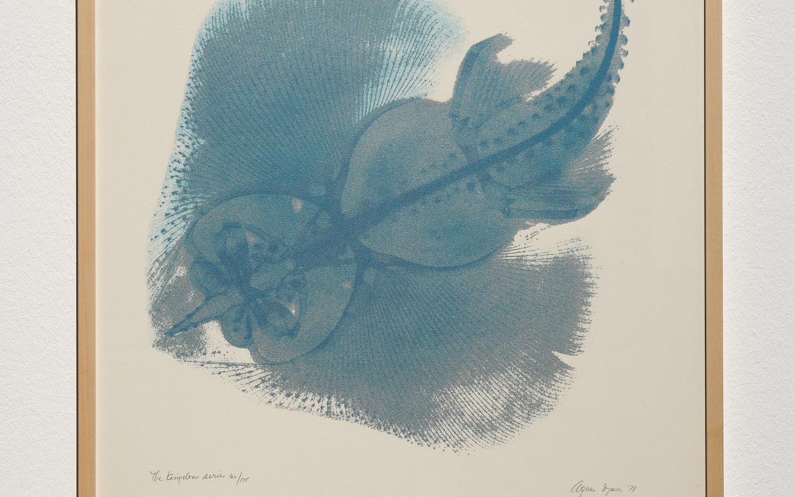 »The Kingdom Series: X-Ray of Sting Ray« von Agnes Denes. Zu sehen ist ein eingerahmtes Bild. Auf hellem Hintergrund befindet sich eine blaue abstrakte Form.