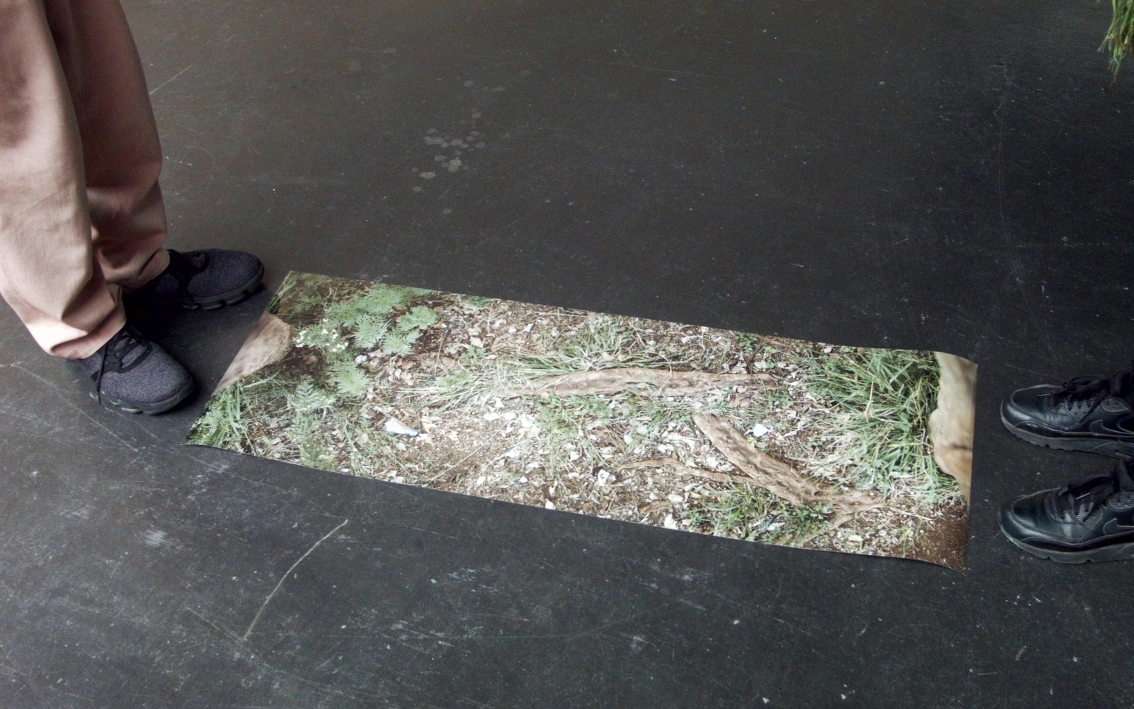 i6812_20_xxx_x_ex_tree3_1080p_10.jpg