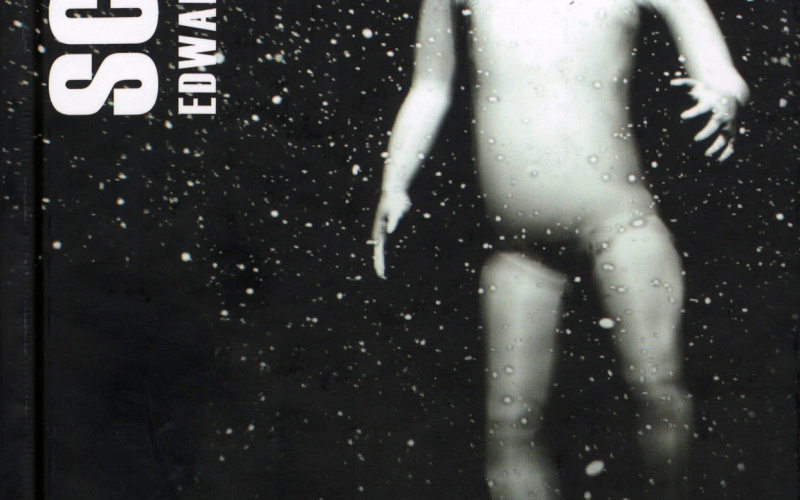 Cover der Publikation »Scenario«