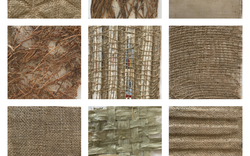 Biocomposite Matrix