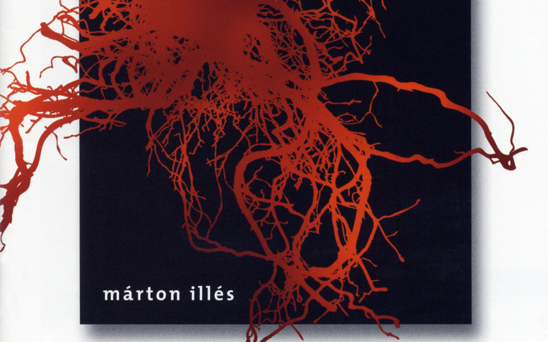 Cover of the publication »Scene polidimensionali IX, X, XV, XVI / Torso II, III«