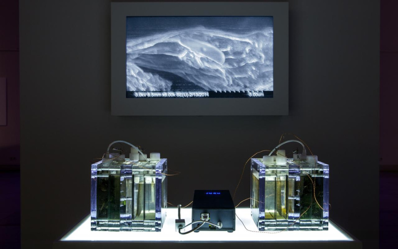 Installation mit erleuchteten Behältern, einer Batterie und einem Bildschirm im Hintergrund