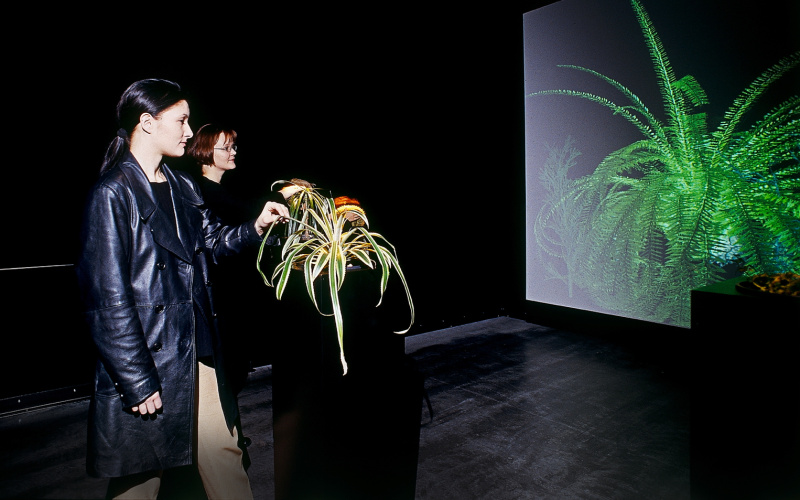 Interactive Plant Growing 