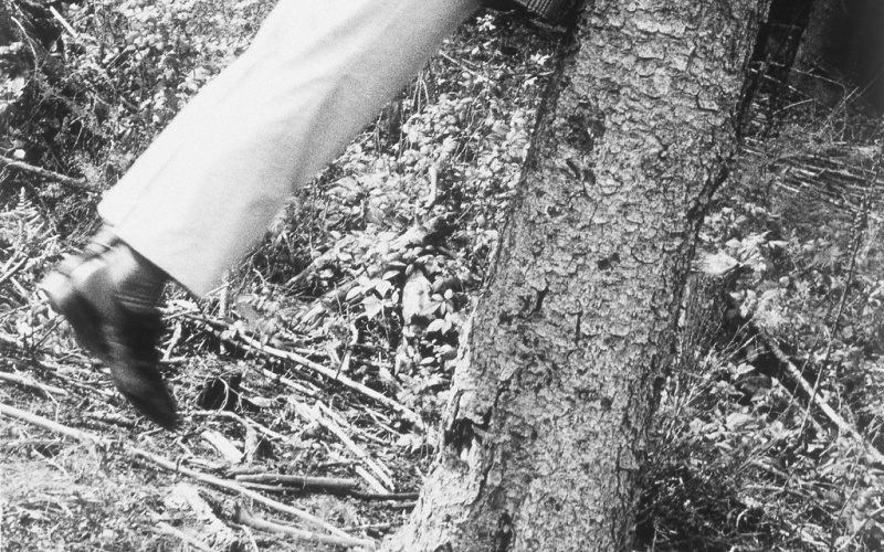 Im Wald