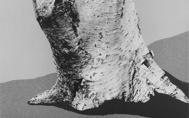 Replica