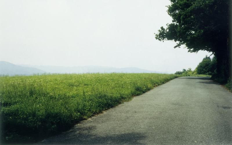 Landschaft Nr. 3, Waldstraße auf dem Lindberg, Winterthur