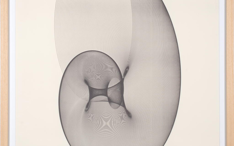 Snail