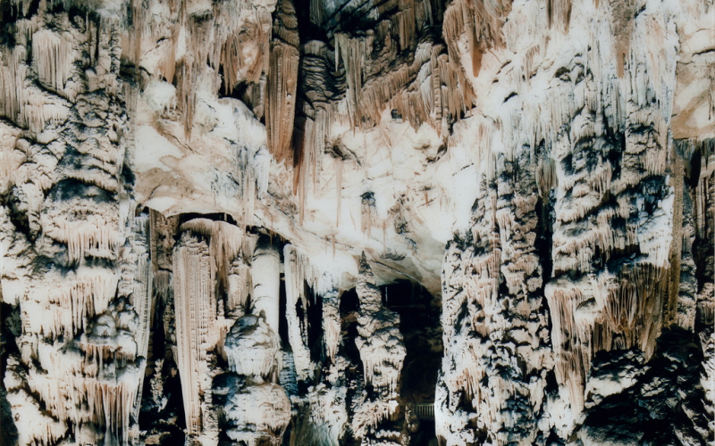 Demoiselles I
