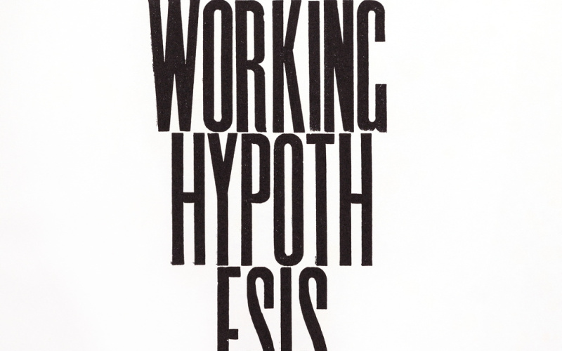 I am a Working Hypothesis 