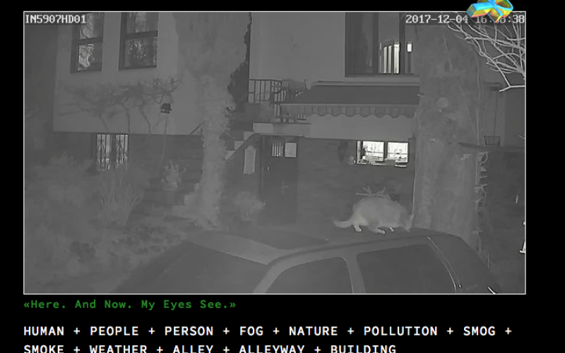 Der Screenshot einer Überwachungskamera zeigt eine Katze auf einem Auto , welches vor einem Haus geparkt ist.