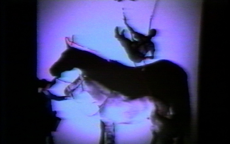 Aló (The Horse)