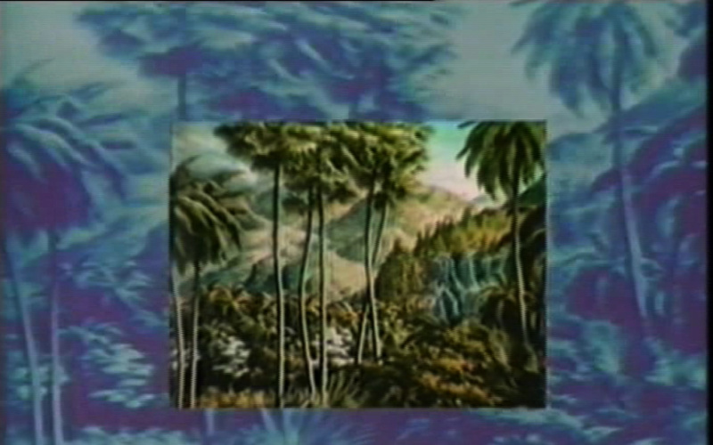 Anti-scenes in Panama