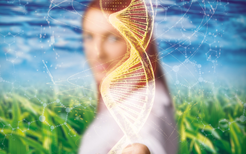 One can see a woman putting her hand towards the viewer. From her hand a DNA strand spins across the center of the picture. 