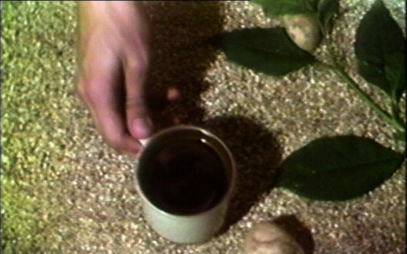 A Non-Dairy Creamer