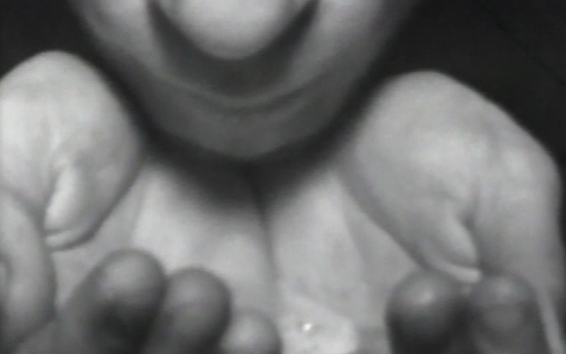 Waterways: Four Saliva Studies