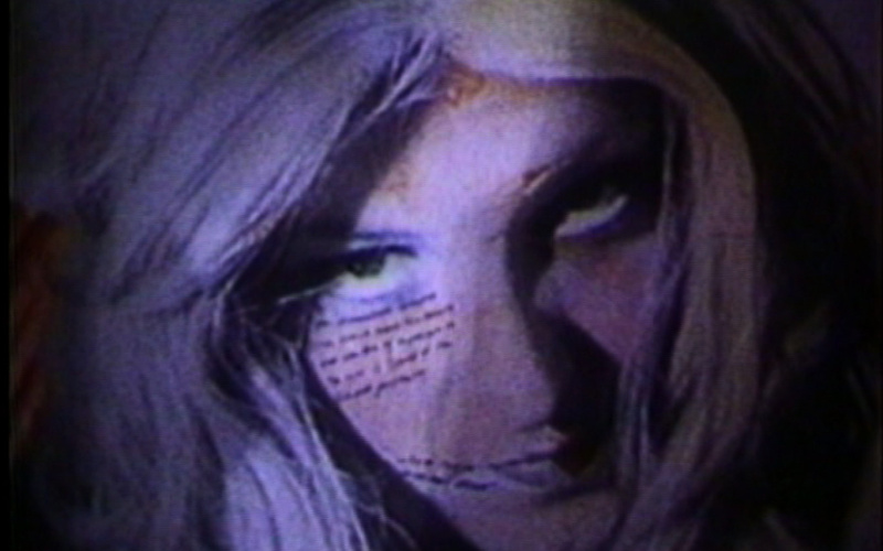 Inside/Outside Lynn Hershman