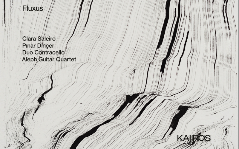 Cover der Audio-CD »Jaime Reis: Fluxus Cycle«, 2020