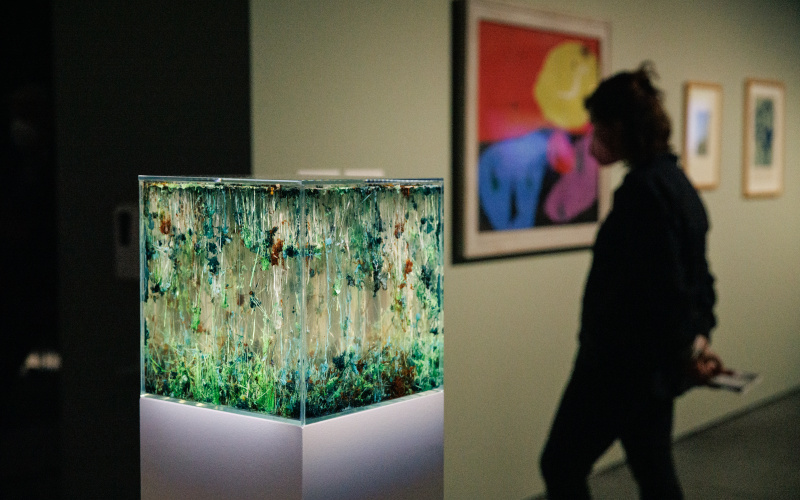 Blick in die Ausstellung »The Beauty of Early Life». Im Vordergrund zu sehen ist das Werk von Agnieszka Kurant »Chemical Garden»