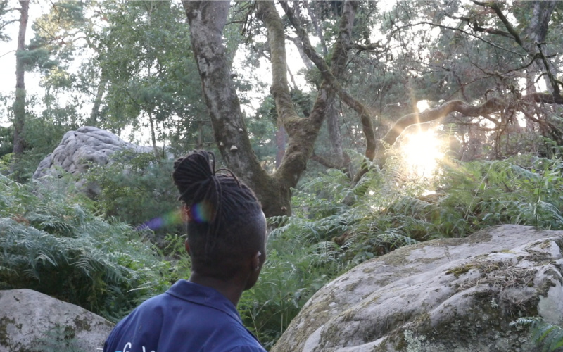 Zu sehen ist ein Mann von hinten abgebildet. Wir schauen über seine Schulte in einen Wald, durch den die Sonne durchscheint.